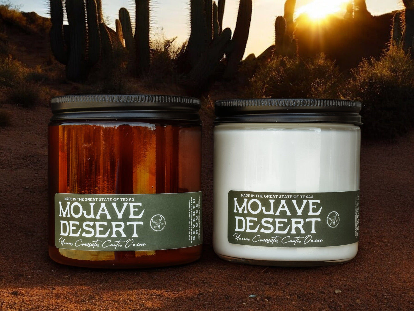MOJAVE DESERT - Yucca, Creosote, Cacti