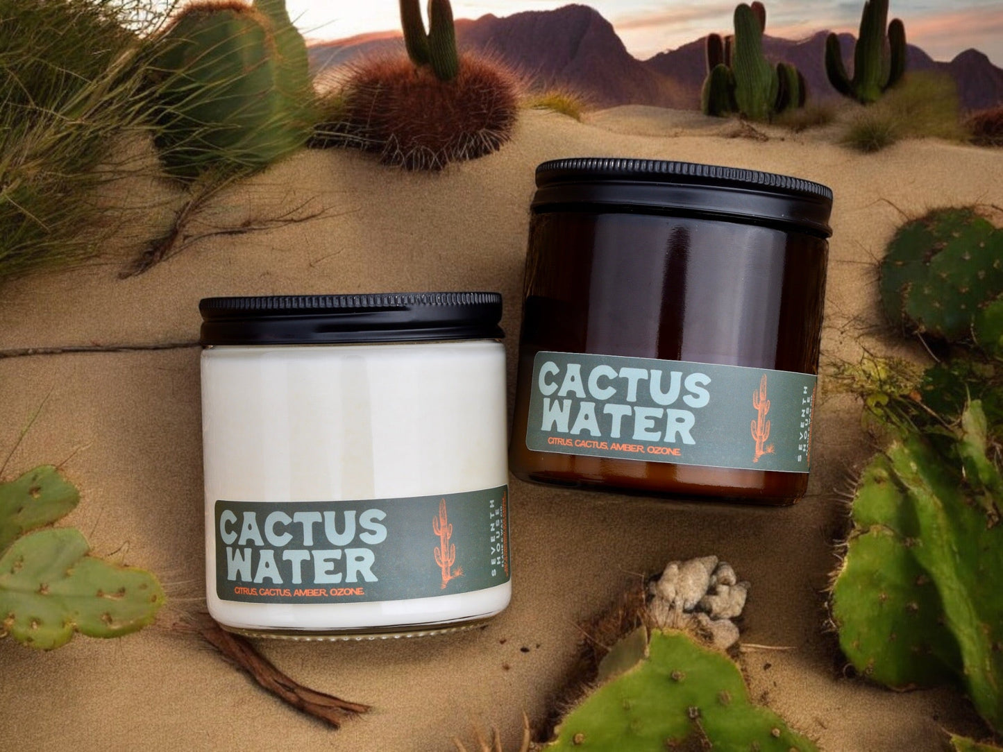 CACTUS WATER - Citrus, Cactus, Amber, Ozone