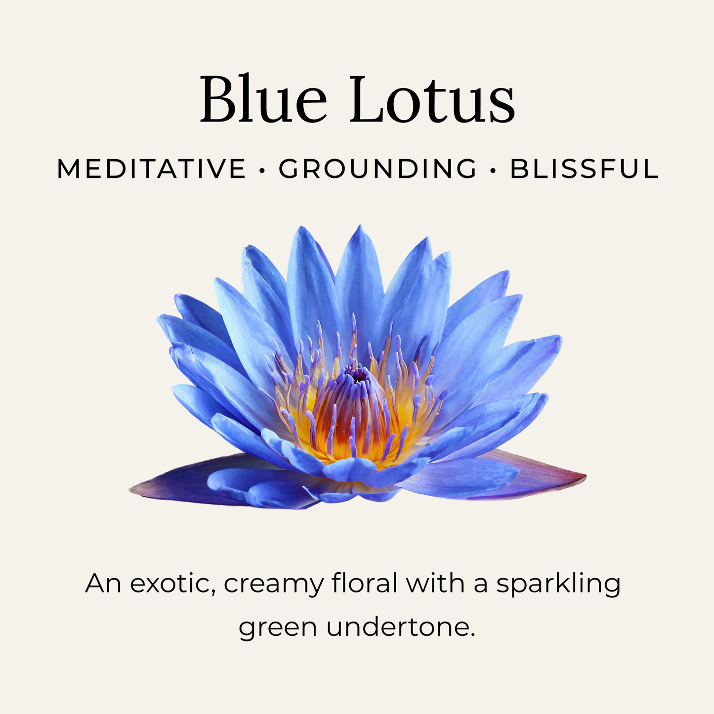 Blue Lotus Deodorant Cream